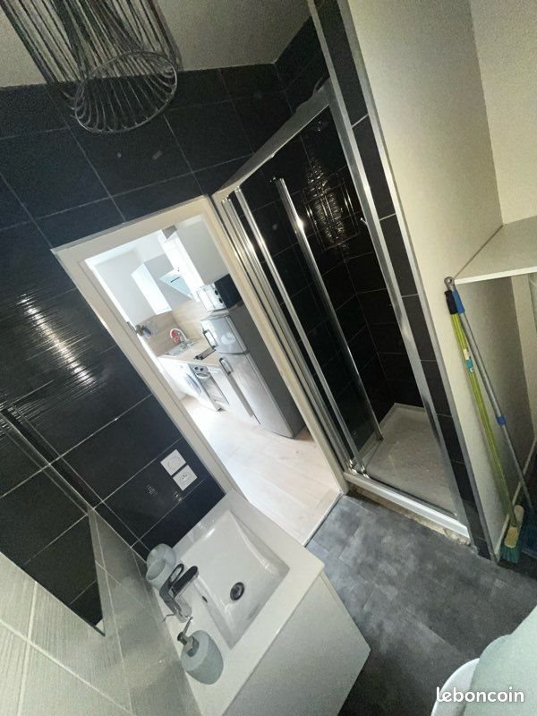 Appartement à louer, 24m², Saint-Etienne