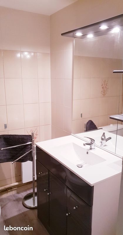 Appartement à louer, 23m², Mende