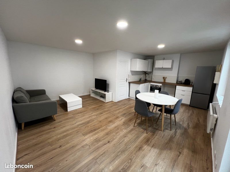 Appartement à louer, 46m², Saint-Etienne