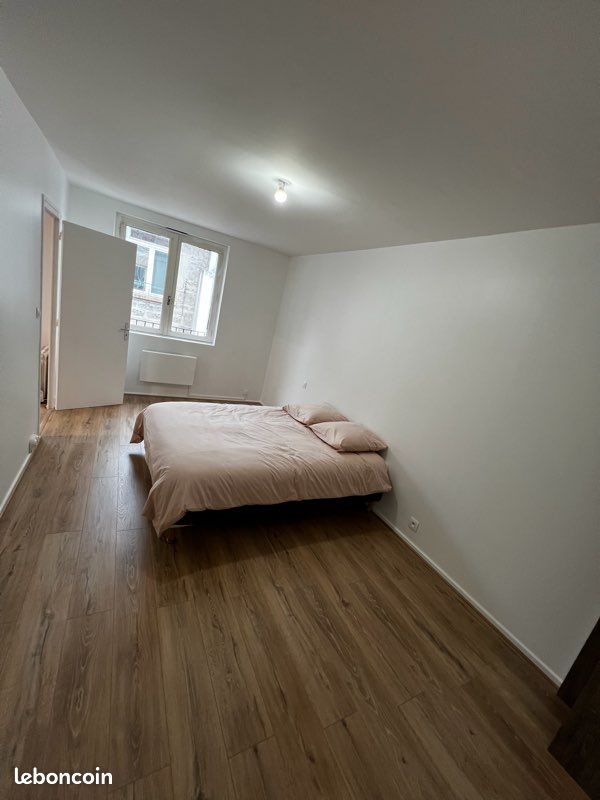 Appartement à louer, 46m², Saint-Etienne