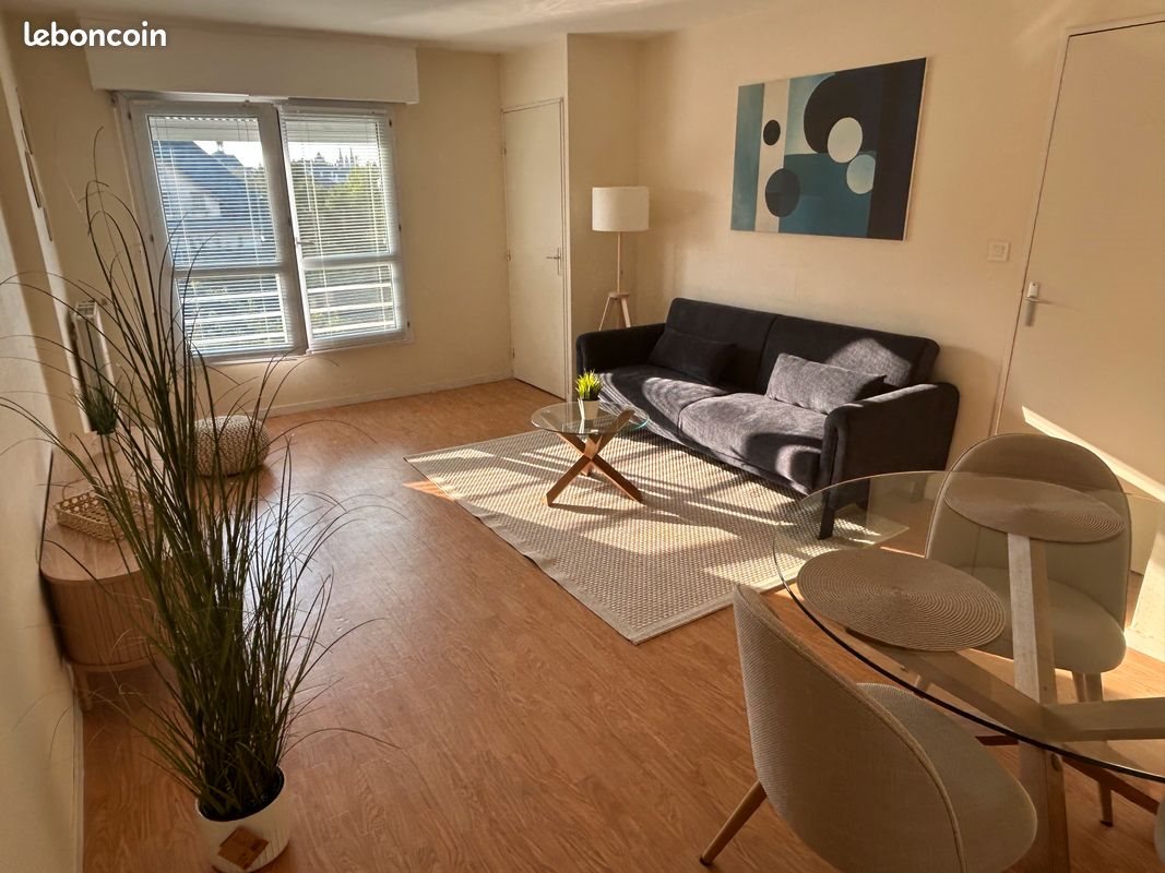 Appartement à louer, 46m², Angers