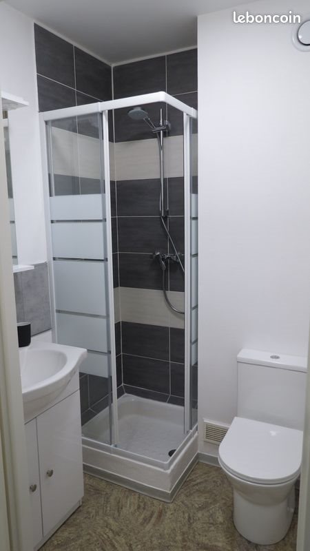 Appartement à louer, 19m², Mulhouse