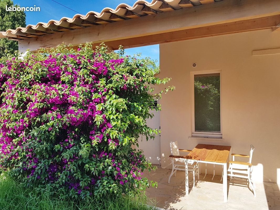 Appartement à louer, 20m², Antibes