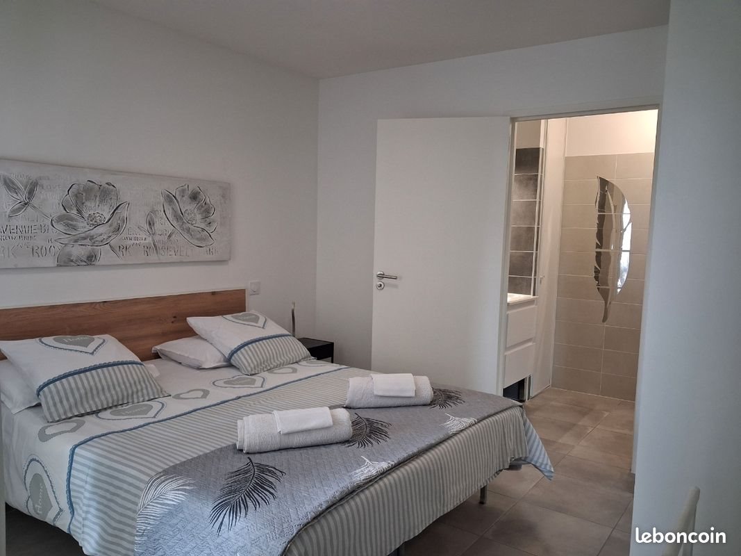 Appartement à louer, 47m², Albi