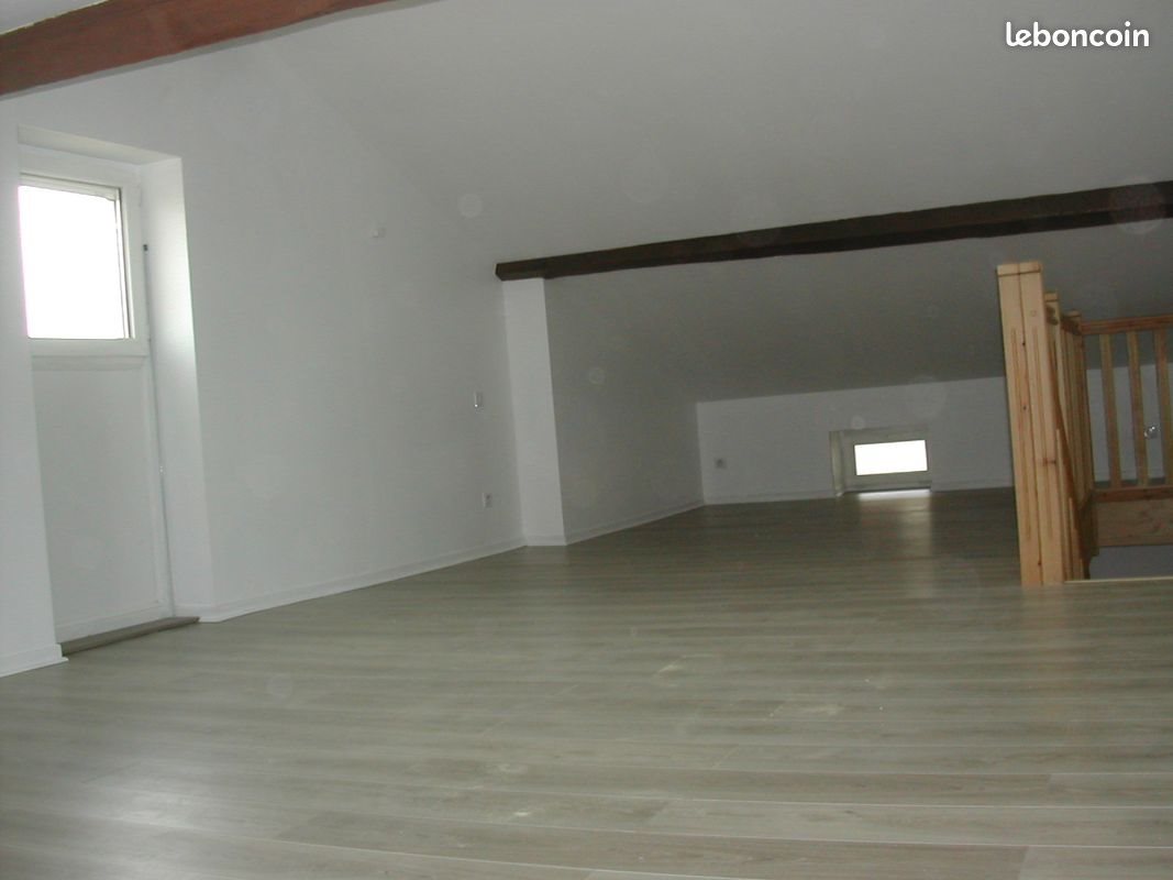 Appartement à louer, 50m², Firminy