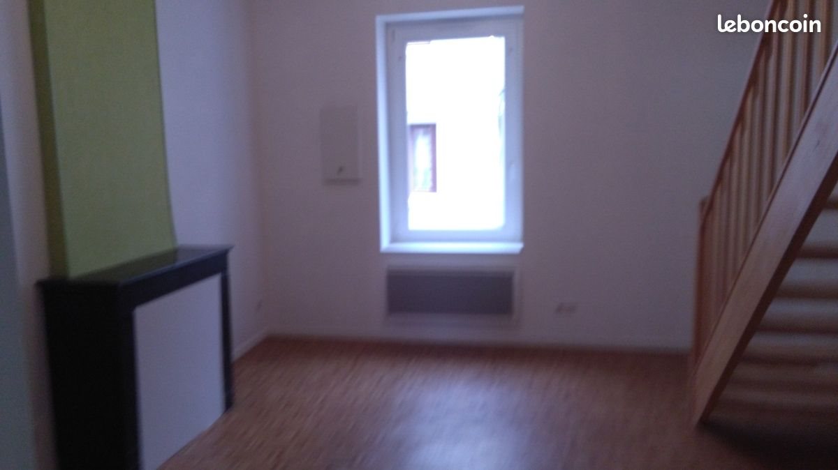 Appartement à louer, 50m², Firminy