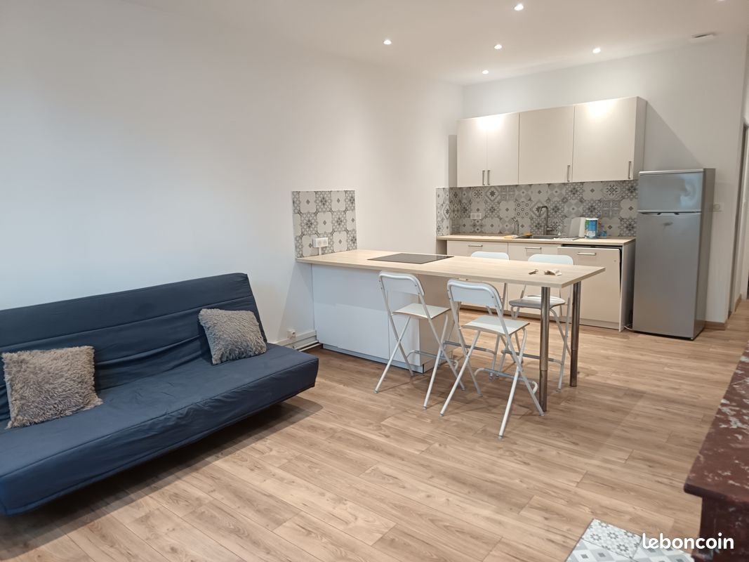 Appartement à louer, 48m², Saint-Étienne