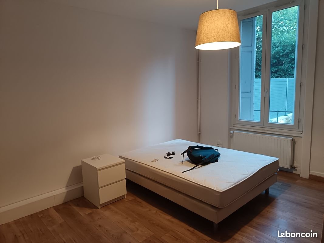 Appartement à louer, 48m², Saint-Étienne