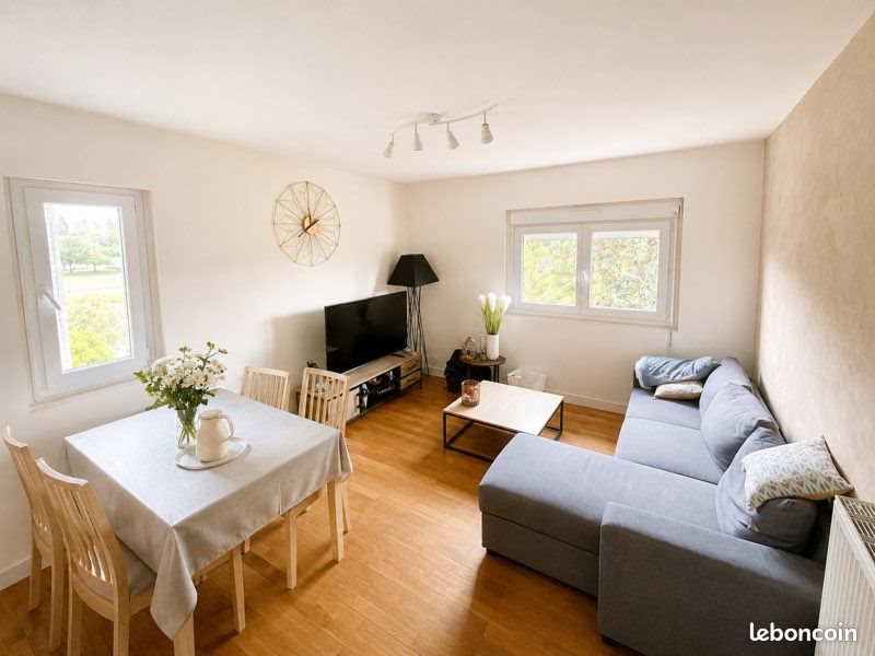 Appartement à louer, 47m², Mâcon