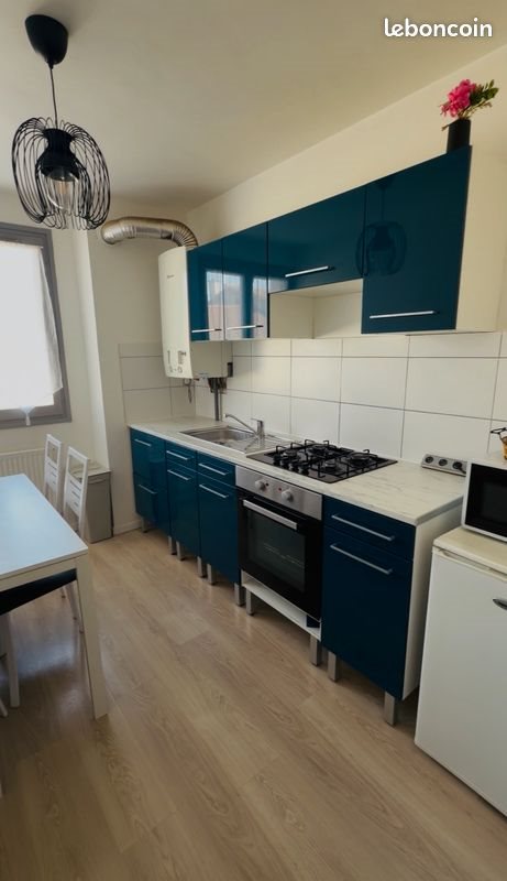 Appartement à louer, 46m², Saint-Étienne