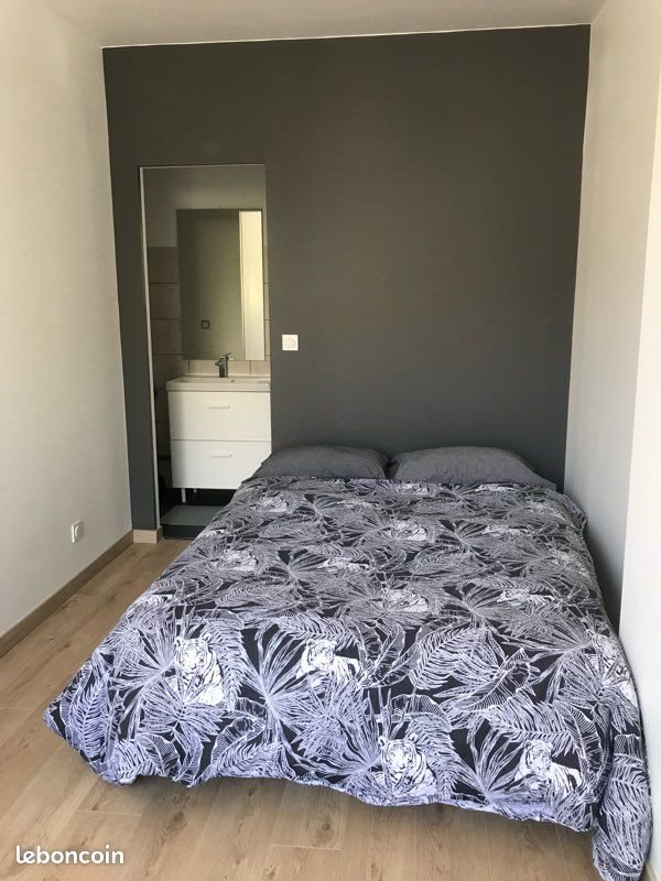 Appartement à louer, 40m², Saint-Etienne