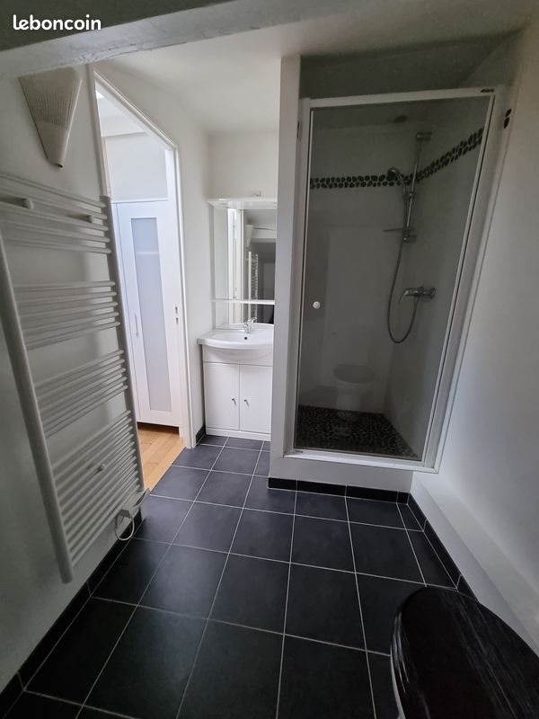 Appartement à louer, 22m², Nancy