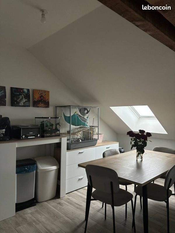 Appartement à louer, 43m², Saumur