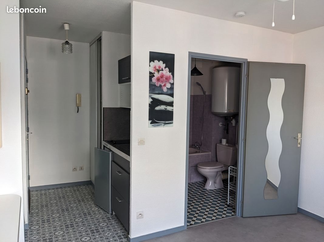 Appartement à louer, 19m², Grenoble