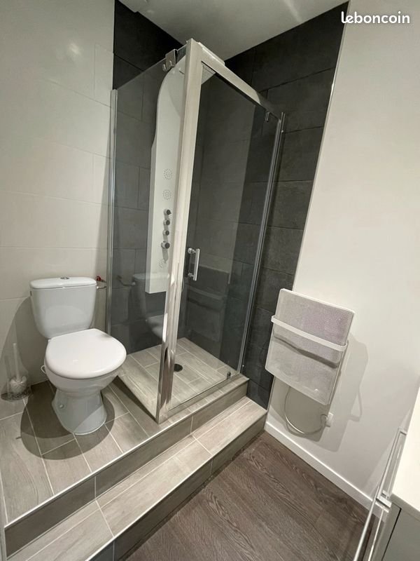 Appartement à louer, 18m², Blagnac