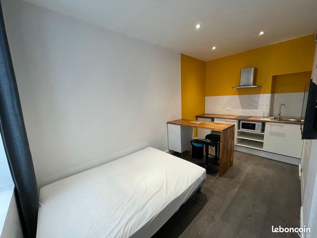 Appartement à louer, 18m², Blagnac