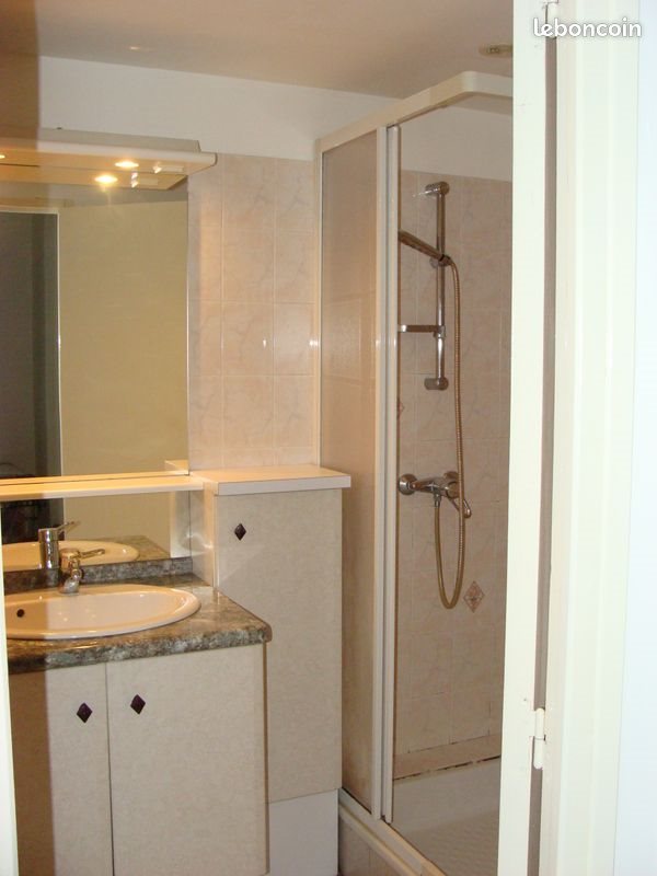 Appartement à louer, 30m², Mende