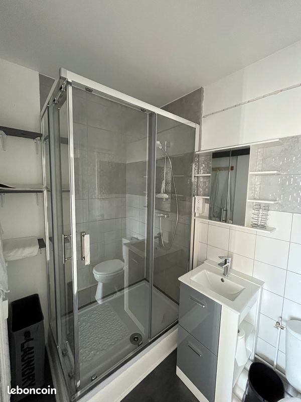 Appartement à louer, 45m², Roanne