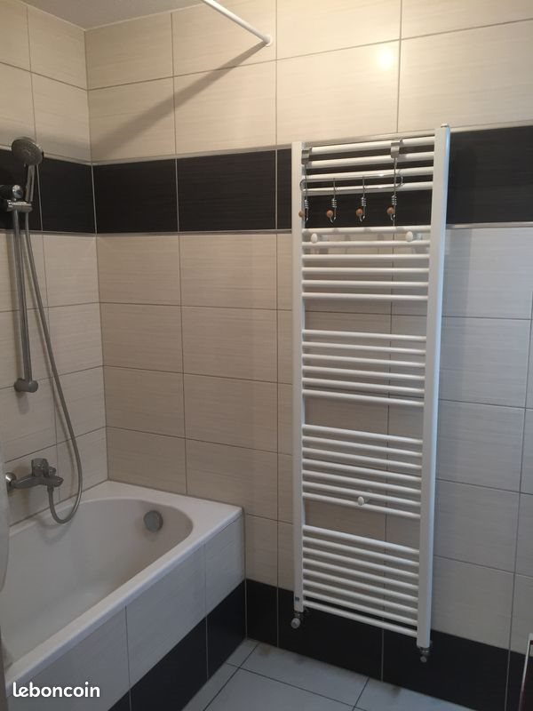 Appartement à louer, 43m², Mulhouse