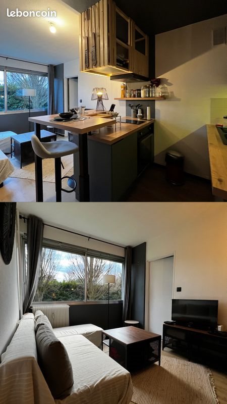 Appartement à louer, 29m², Belleville