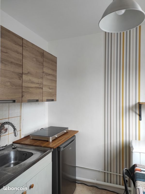 Appartement à louer, 30m², Lille