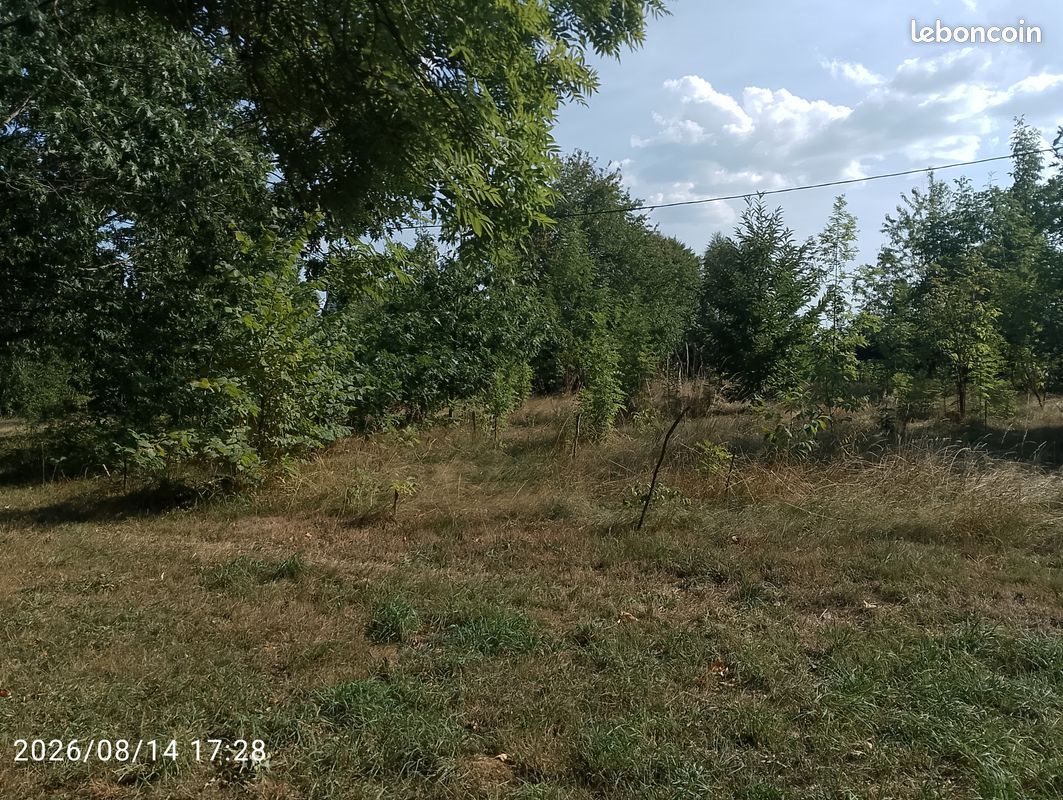 Maison à vendre, 40m², Pleaux