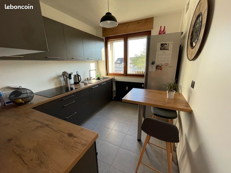 Appartement à louer, 50m², Thonon-les-Bains