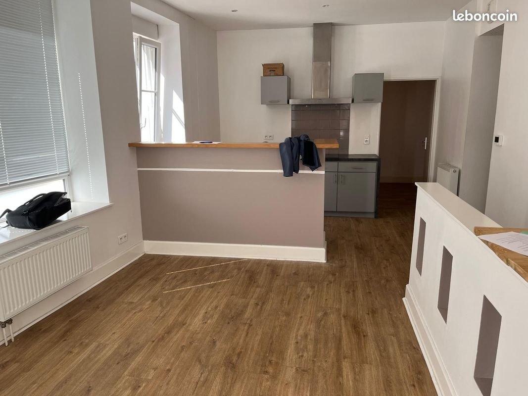 Appartement à louer, 70m², Nancy