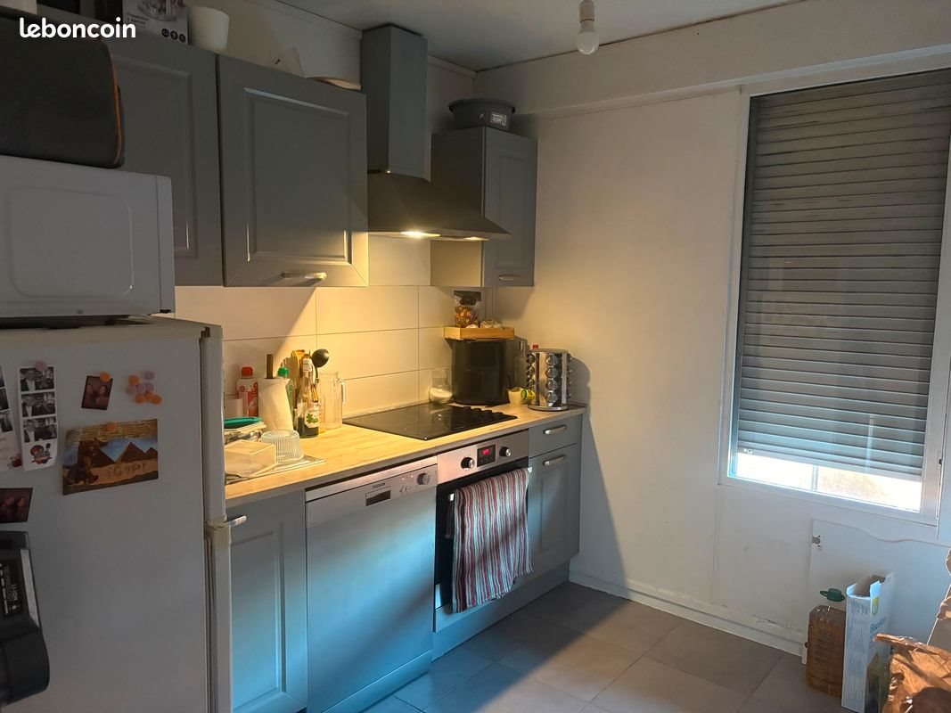 Appartement à louer, 47m², Bron