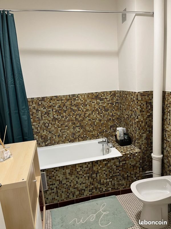 Appartement à louer, 31m², Nancy