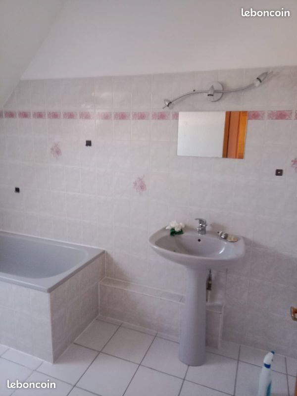 Appartement à louer, 97m², Colmar