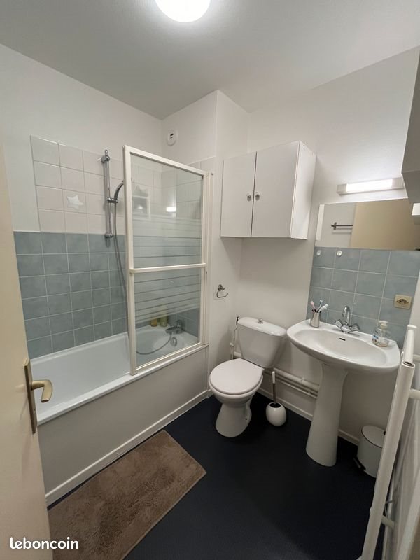 Appartement à louer, 31m², Nancy