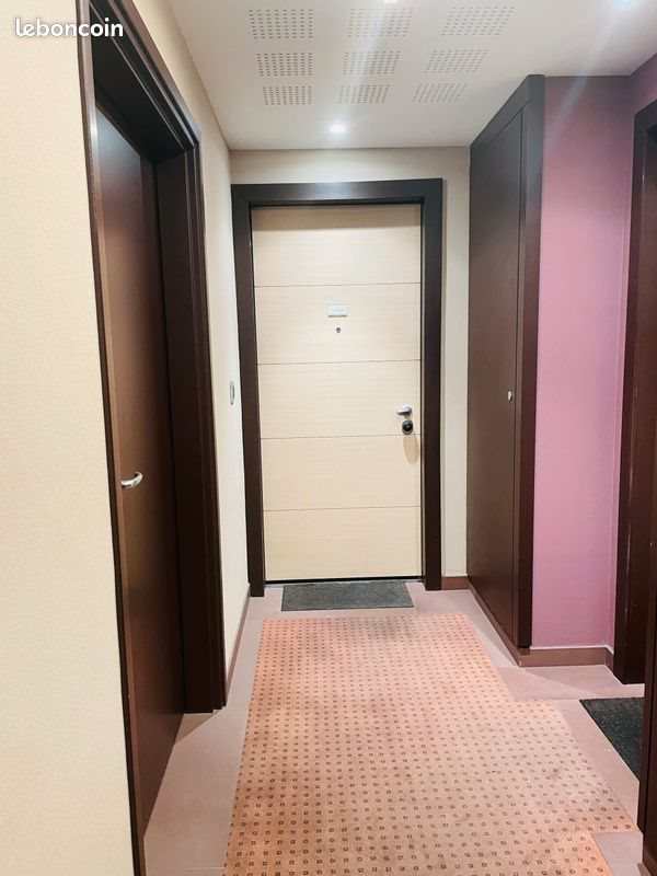 Appartement à louer, 46m², Villeurbanne