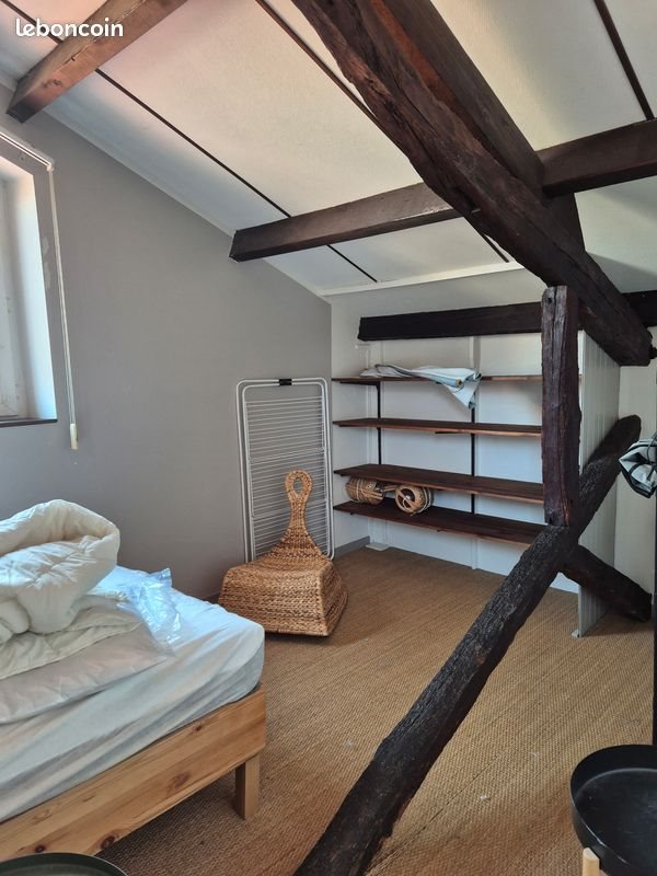 Appartement à louer, 55m², Albi