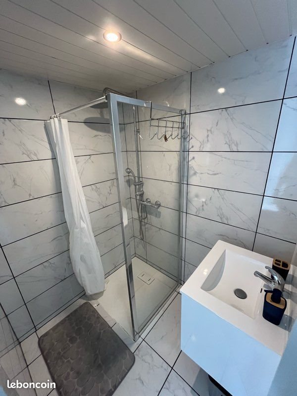 Appartement à louer, 50m², Nancy