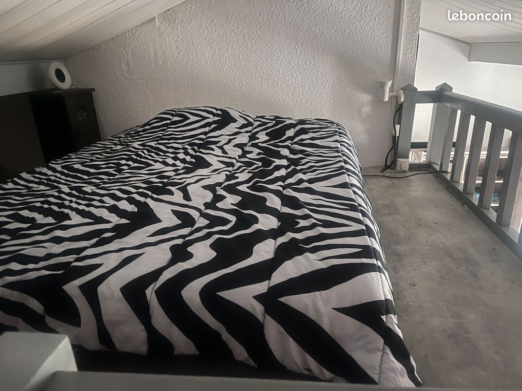 Appartement à louer, 31m², Biscarrosse
