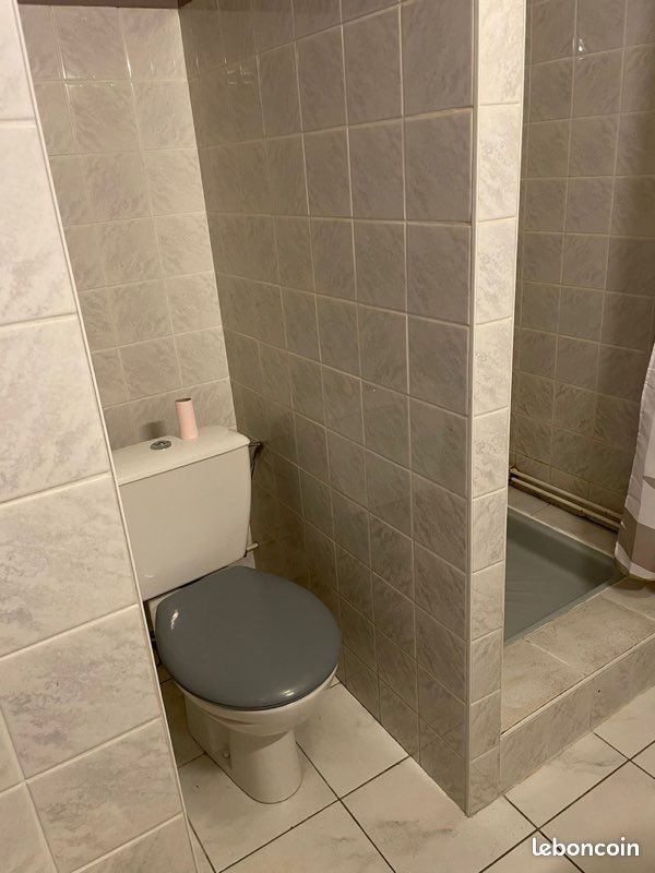 Appartement à louer, 25m², Nancy