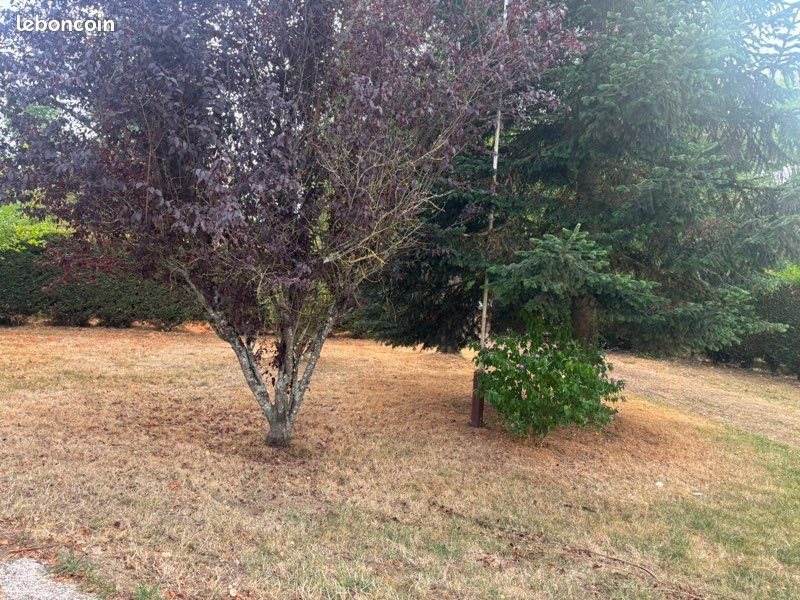 Maison à vendre, 115m², Argenvilliers