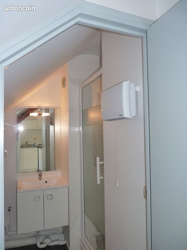 Appartement à louer, 25m², Angers