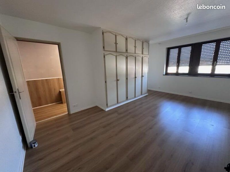Appartement à louer, 150m², Bollwiller