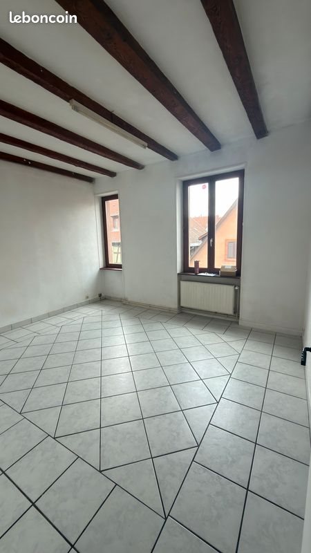 Appartement à louer, 64m², Colmar