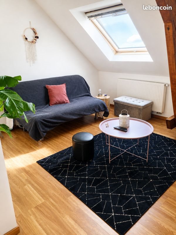 Appartement à louer, 65m², Belfort