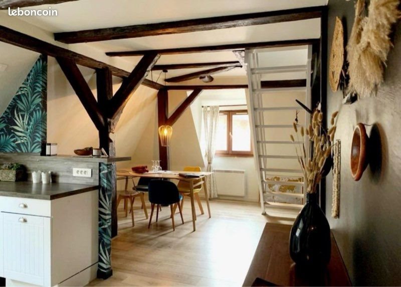 Appartement à louer, 55m², Colmar