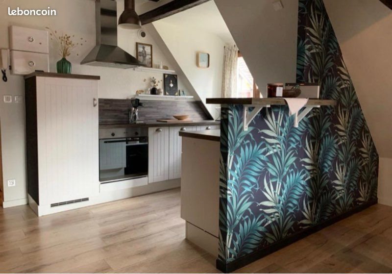 Appartement à louer, 55m², Colmar