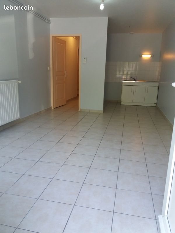 Appartement à louer, 46m², Oullins