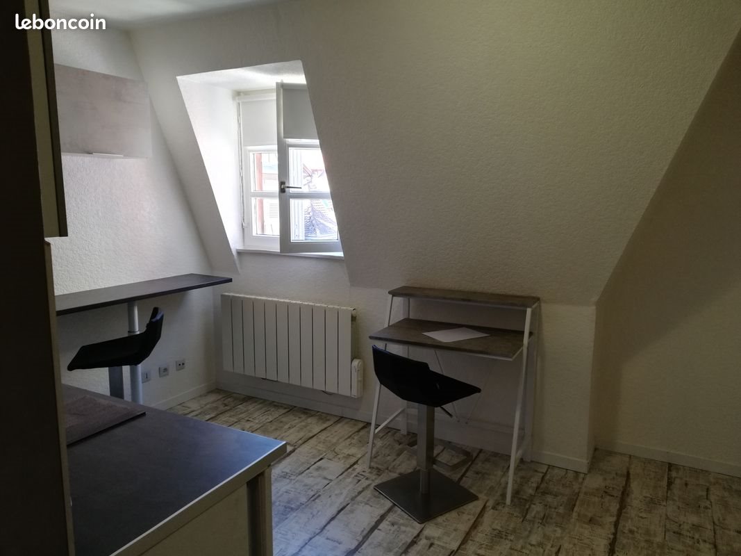 Appartement à louer, 17m², Colmar