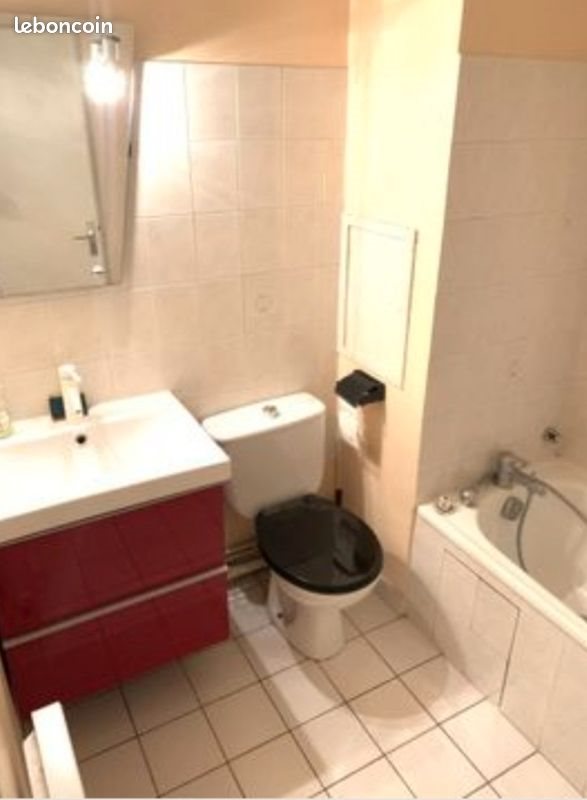 Appartement à louer, 260m², Grenoble