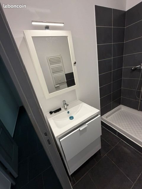 Appartement à louer, 31m², Orléans