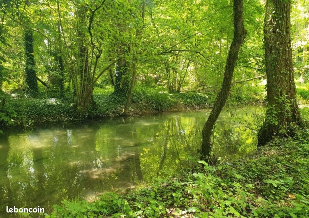 Maison à vendre, 85m², Courtisols