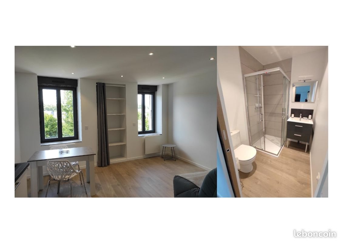 Appartement à louer, 24m², Yenne